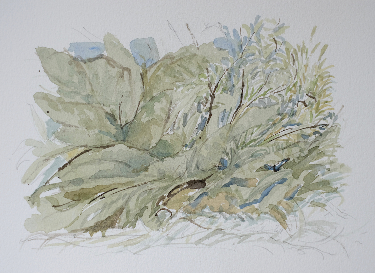 Am Wegesrand, 2018 - Bleistift, Aquarell