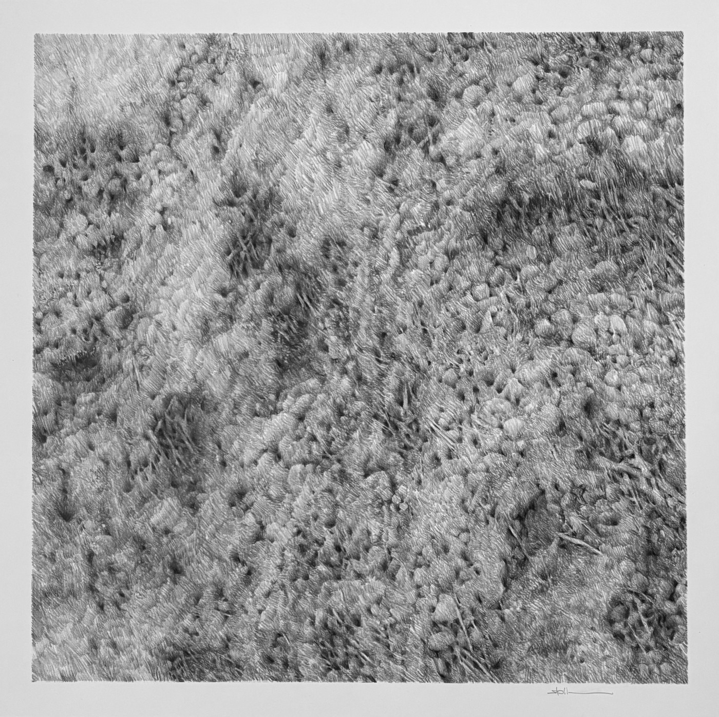 Das große Rasenstück I, 2026 - Aquarellstift auf Papier