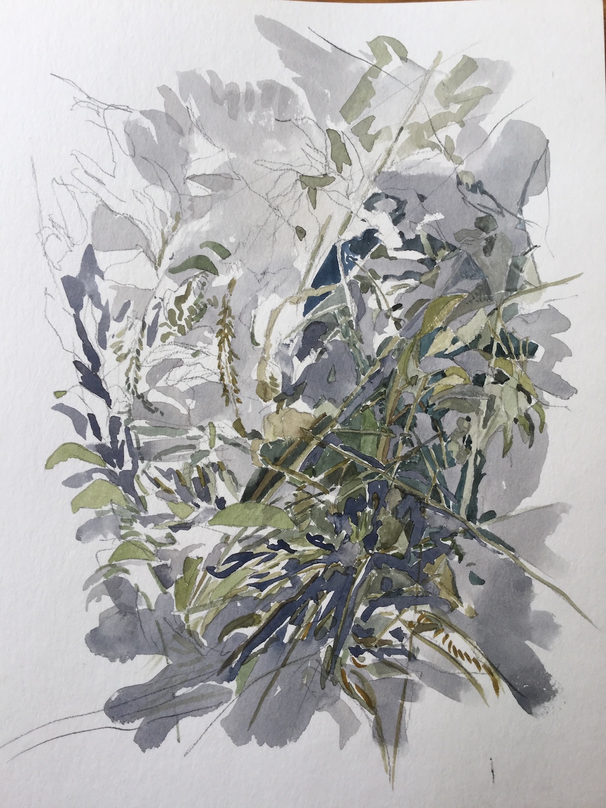 Unterholz, 2017 - Bleistift, Aquarell