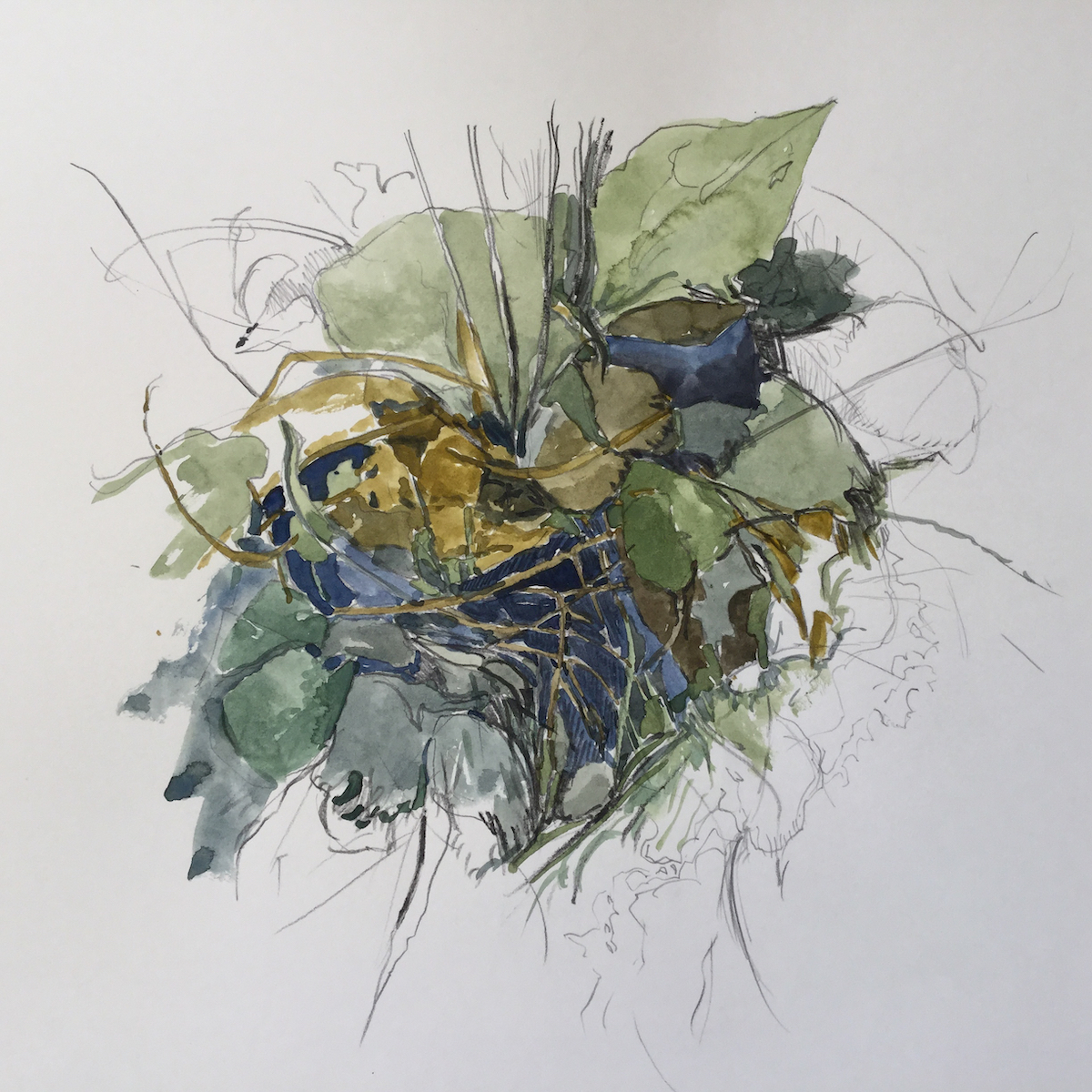 Waldherz, 2017 - Bleistift, Aquarell