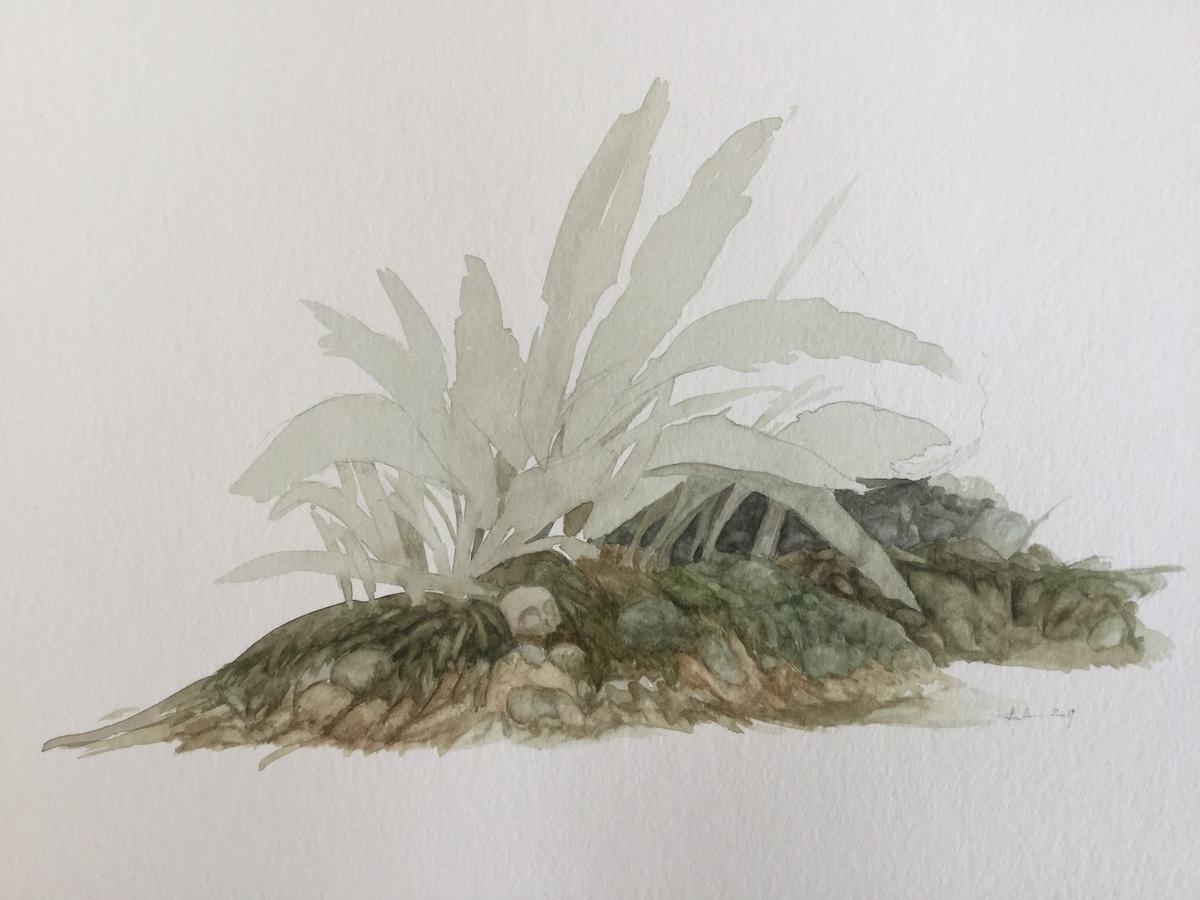 In memoriam R.D., 2019 - Bleistift, Aquarell